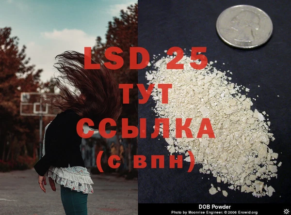 2c-b Алзамай