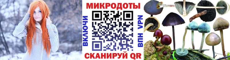 где продают   Томмот  Галлюциногенные грибы ЛСД 